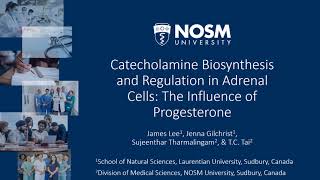 NHRC 2023 Theme 2 Catecholamine Biosynthesis and Regulation LeeJ
