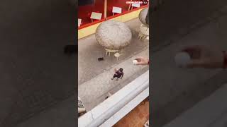 Aljur Abrenica Pranks On Kiko Matos Eggbomb