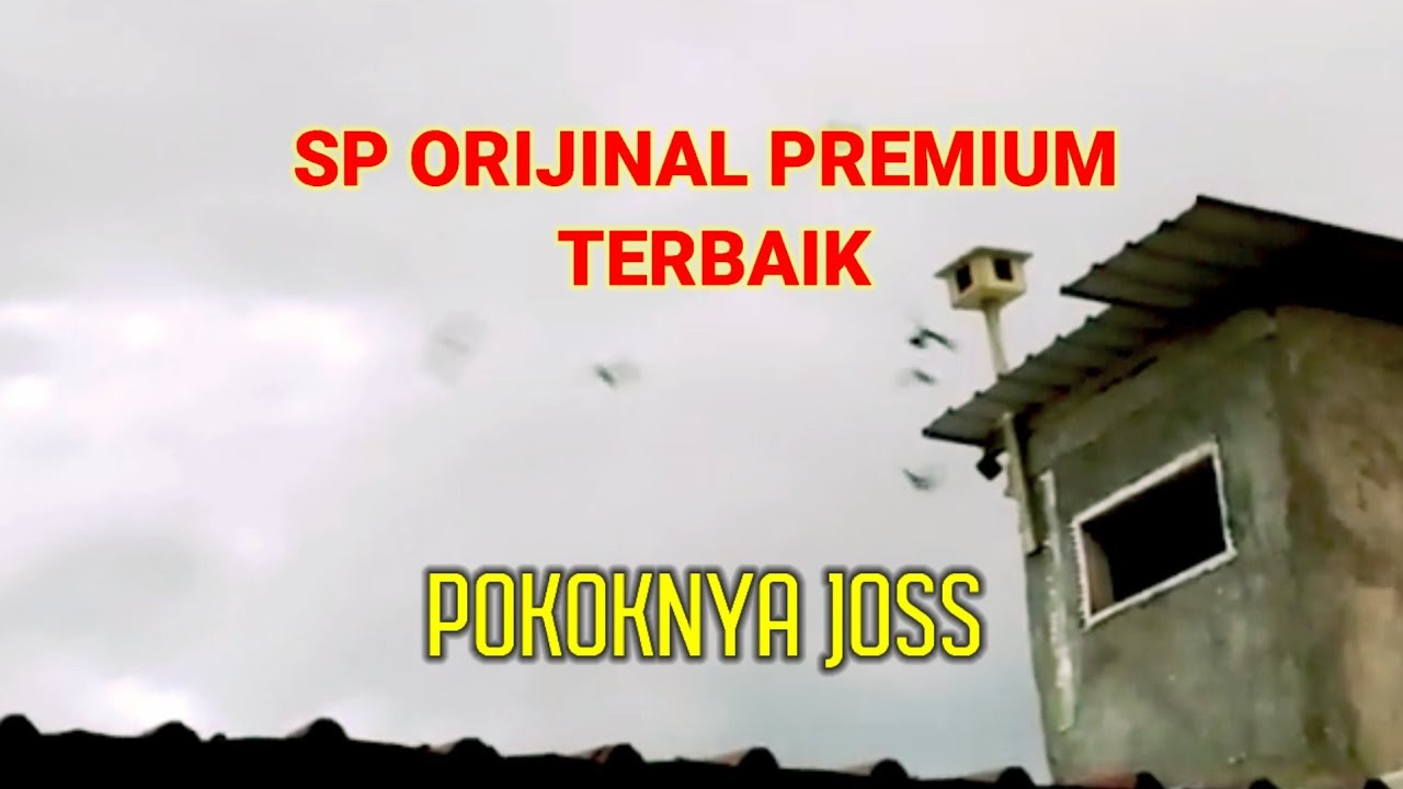 sp orijinal premium terbaik pokoknya joss