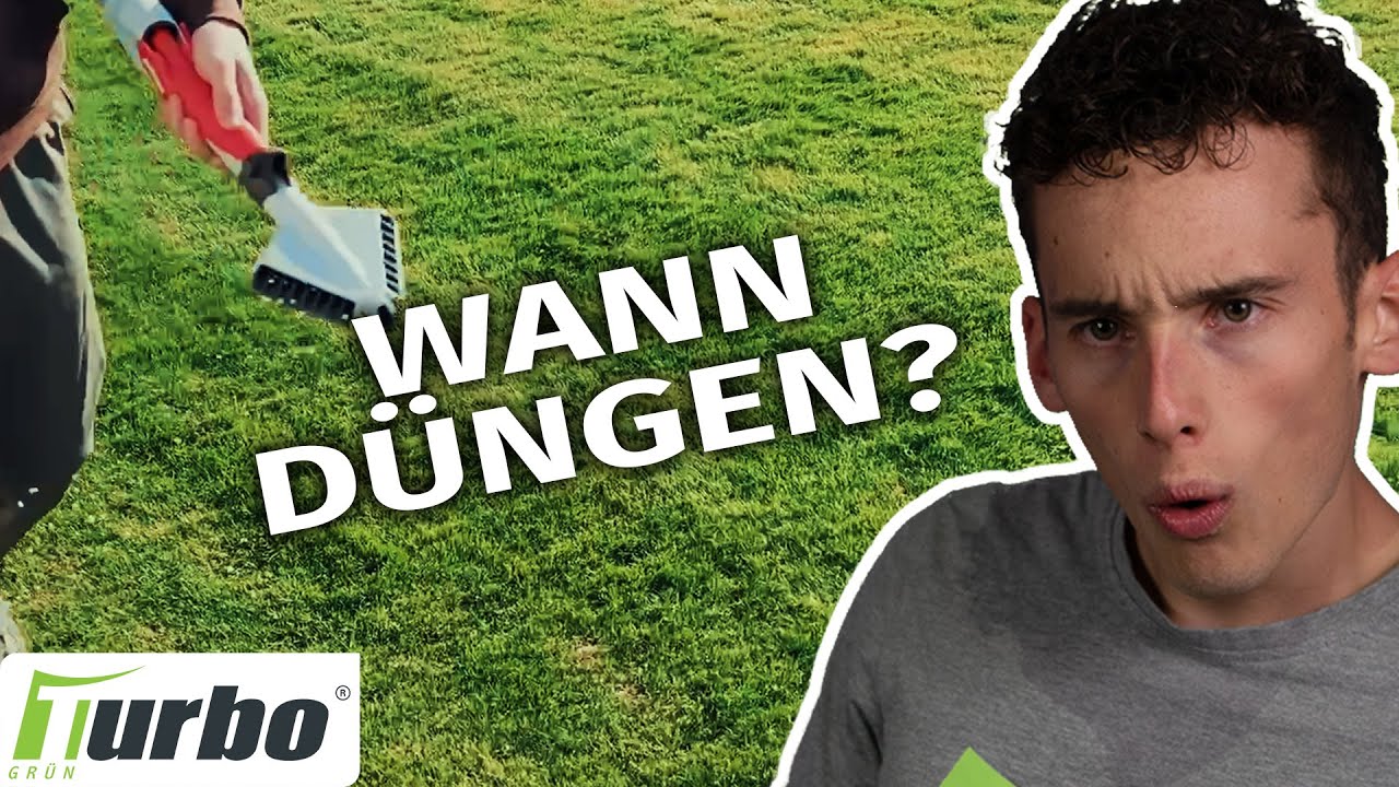Wann Frisch Gesäten Rasen Das Erste Mal Düngen Wann den Rasen das erste mal düngen? | Die erste Düngung nach dem