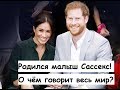 Почему малыш Сассекс - символ перемен?