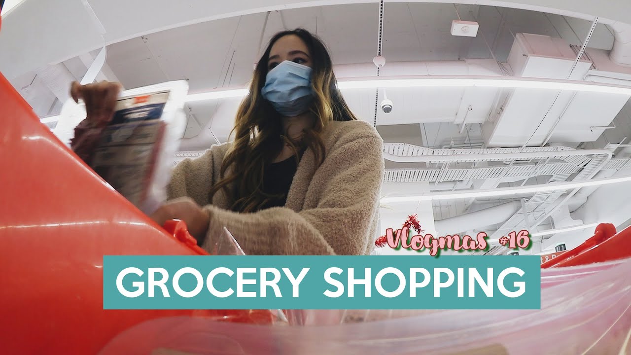 Grocery Shopping, Vet visit & Homemade Dog Food | Vlogmas #16