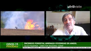 Incendio forestal amenaza viviendas en Angol| ESPECIAL COVID-19