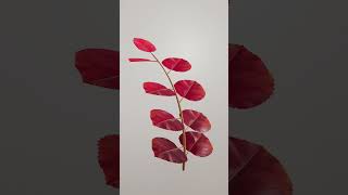 Creating Stretchy Plant Growth Animations with Houdini #effects#houdini #arnold #3danimation