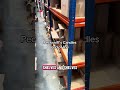 Pecksniff’s Candle Clearance at liquidation.store