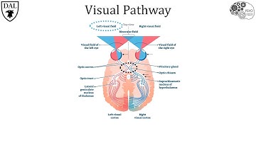 Tricky Topics: Binocular Depth Perception