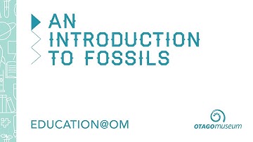 An Introduction to Fossils