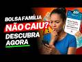 BOLSA FAMÍLIA NÃO CAIU? Entenda se foi BLOQUEADO, SUSPENSO OU CANCELADO