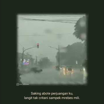 story wa yowes rapopo rasah di getuni