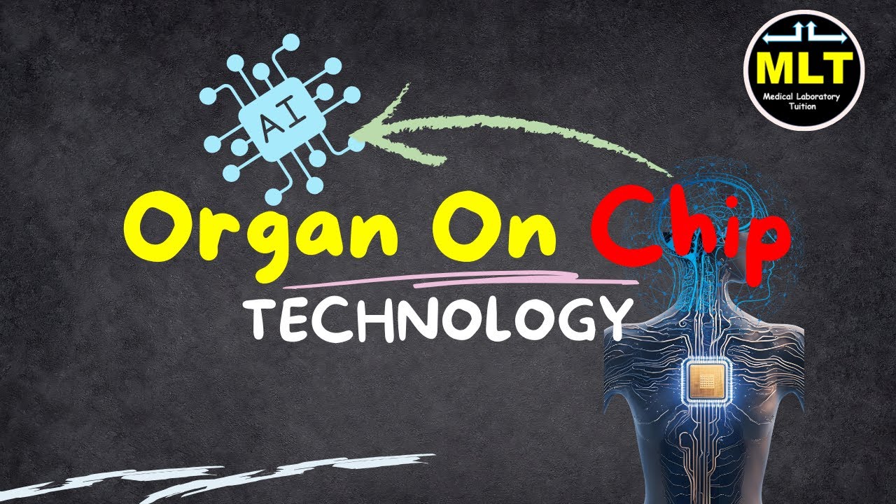 Organ-on-a-Chip: The Future of Medical Testing & Drug Discovery