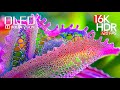 BEST 16K HDR Video ULTRA HD 120 fps | Dolby Vision