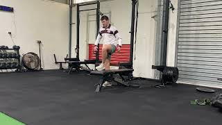 Bench Step Overs