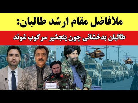 خبر نشست حمایتی کمیسیون عالی شیعیان از طالبان در غزنی چه گفتند 