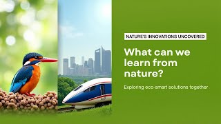 Biomimicry: Nature’s Blueprint for Innovation | Explained in 3 Minutes - The Know It All Channel