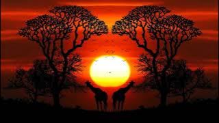 Master KG Jerusalema DJ2HC AFRO REMIX 2020 Jerusalem remix