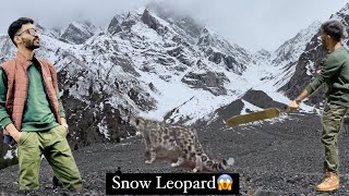 Towards Hunza, visited Naltar Lake || Paharhon me cricket🏏 || Fardeen Khan