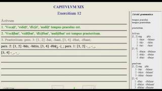 Lingua - 19.G - Exercise Tutorial