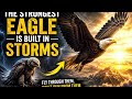 Eagle Mindset- l Motivational Story l