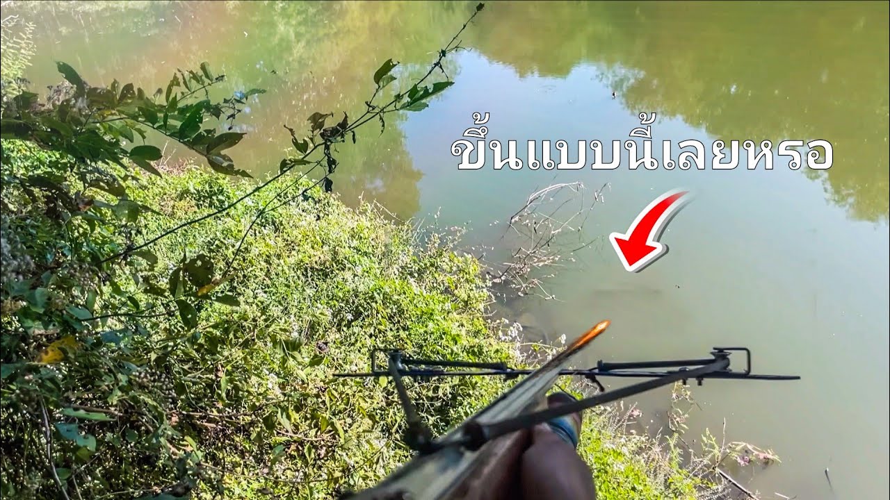 ช่วงฤดูปลาลอยผิวน้ำ 