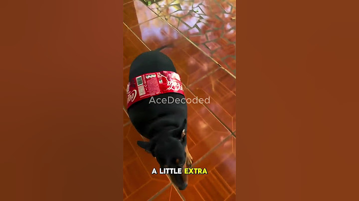 Šokující pravda o hamburgerech a coca-cole 🍔🥤 (Neměli jste tušení!)
