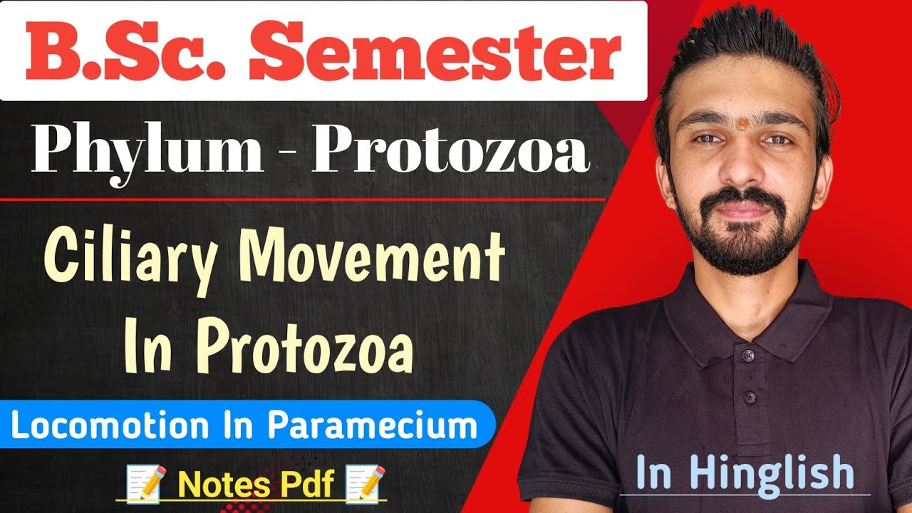 Ciliary Locomotion In Paramecium || Phylum - Protozoa || Bsc Semester || By Dadhich Sir