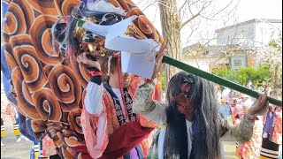 参道に響き渡る笛囃子｜宮参り｜小島の神明社｜小島獅子舞 2025｜富山