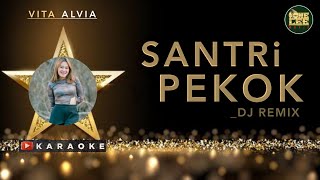 SANTRI PEKOK KARAOKE - VITA ALVIA | Dj Remix ( @oneleemusic )