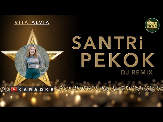 SANTRI PEKOK KARAOKE - VITA ALVIA | Dj Remix ( @oneleemusic ) class=