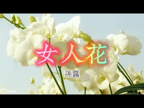 bB-C 女人花 孫露 伴奏 03