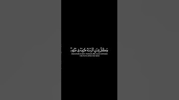 وكل إنسان ألزمناه طائره في عنقه | كرومات قرآن كريم بصوت #ياسر_الدوسري | #سورة_الإسراء