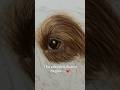 New commission | Timelapse | Dog eye | Pet Portrait | Realistic