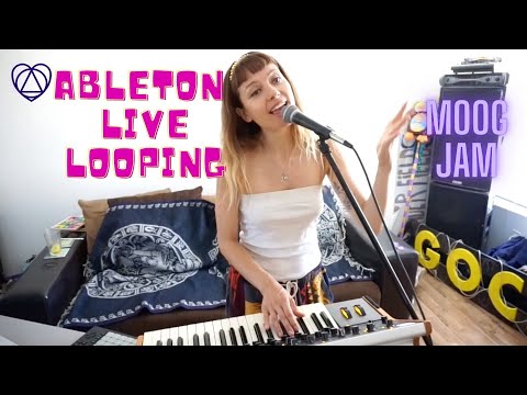Ableton Live Looping + Moog Sub 37 jam