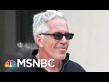 Epstein Charges Put Scrutiny On Labor Secy’s Role In 2008 Plea Deal | Velshi & Ruhle | MSNBC