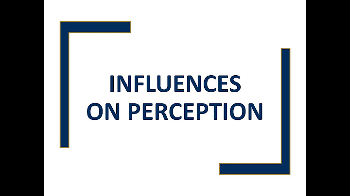 Which of the following factors affects how a person is perceived in an organization?