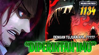 Download Lagu REVIEW OP 1134 - THESE TWO INFLATORS ARE FROM THE FIGARLAND FAMILY?! THERE ARE ORDERS FROM IMU!! MP3