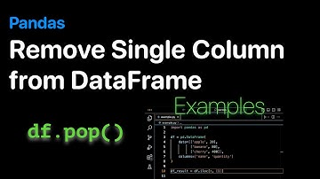 How to remove a Single Column by name from a Pandas DataFrame - Examples | ProgramGuru.org