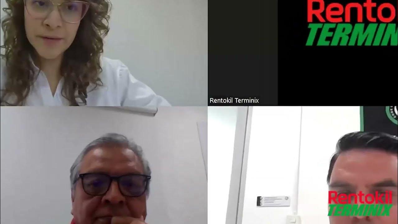 Rentokil Terminix En Voz de Los Expertos Fumigación YouTube