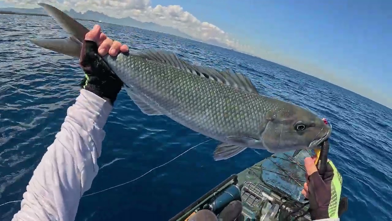 Huge diversity of fish jigging from the kayaks: Mauritius fishing and vibing