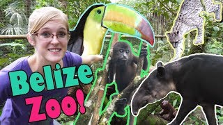 Touring the Belize Zoo!