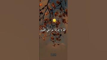 قران كريم  هادئ بصوت الشيخ عبدالرحمن مسعد⁦♥️⁩