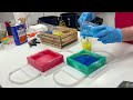 Beginning of video