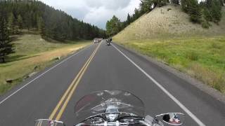 Bikers vs Bison on Yellowstone Highway