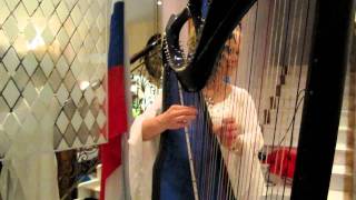 Blue Harp Elena Russian Consulate