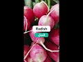 الخضراوات الورقية بالانكليزية