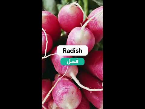الخضراوات الورقية بالانكليزية