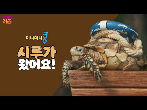 사슴벌레 마을에 시루가 왔어요!ㅣ39회. 시루가 놀러 왔어요!ㅣ귀여운 동물 친구들! 미니미니쿵ㅣKBS 방송
