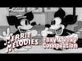 Foxy & Roxy Cartoon Compilation Merrie Melodies Warner Bros