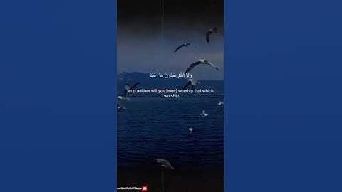 سورة الكافرون بصوت الشريم