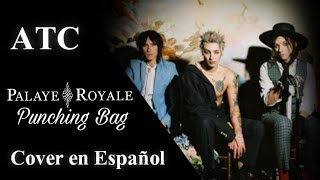 Punching Bag Cover En Espanol de Palaye Royale ATC