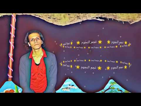        شلبيشتاين نجم النجوم